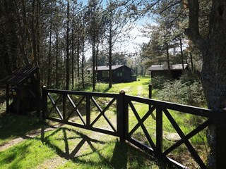 Vakantiehuis Blåvand  15