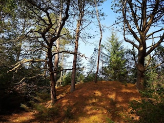 Holiday house Blåvand  6