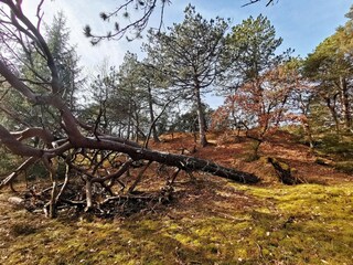 Vakantiehuis Blåvand  15