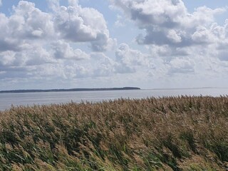 Vakantiehuis Blåvand  36