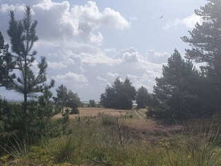 Vakantiehuis Blåvand  38