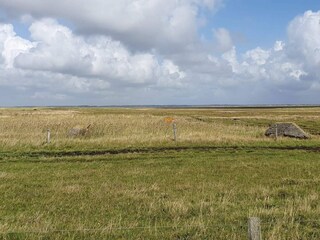 Vakantiehuis Blåvand  11