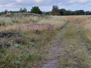 Vakantiehuis Blåvand  25