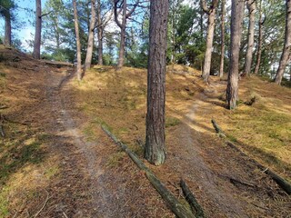 Casa de vacaciones Blåvand  12