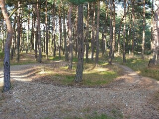 Vakantiehuis Blåvand  14