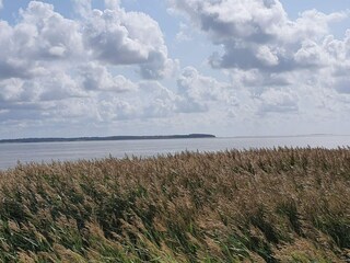 Vakantiehuis Blåvand  34
