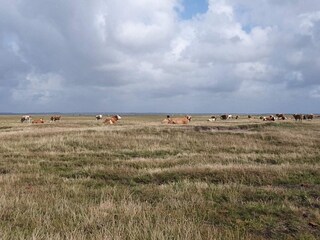 Casa de vacaciones Blåvand  27