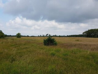 Holiday house Blåvand  18