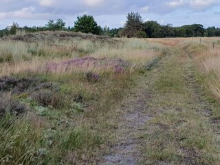 Casa per le vacanze Blåvand  30