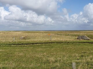 Holiday house Blåvand  29