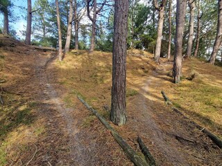 Holiday house Blåvand  30