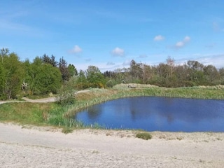 Ferienhaus Skagen  19