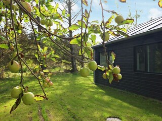 Holiday house Nørlev Strand  24