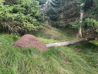 Casa per le vacanze Nørlev Strand  25