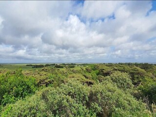 Casa per le vacanze Kongsmark  17