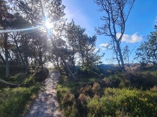 Casa per le vacanze Kongsmark  18