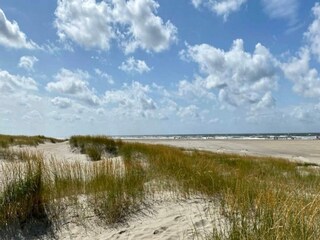 Vakantiehuis Kongsmark  12