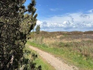 Vakantiehuis Kongsmark  38