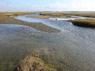 Vakantiehuis Kongsmark  41