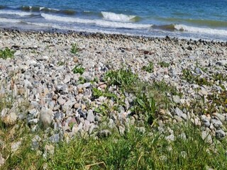 Casa per le vacanze Flovt Strand Registrazione all'aperto 9