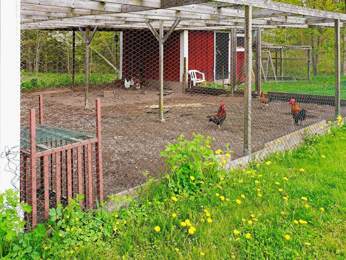 Ferienhaus Mönsterås Außenaufnahme 7