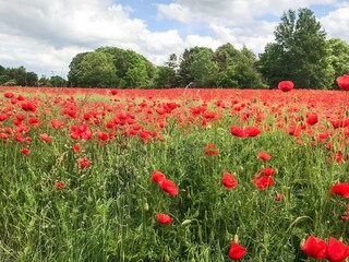 Maison de vacances Kirke Hyllinge Enregistrement extérieur 4