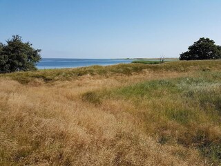 Vakantiehuis Stege  14