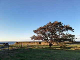 Maison de vacances Stege  26