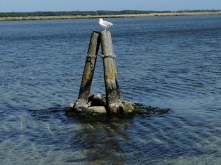 Maison de vacances Stege  27