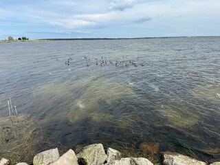 Casa per le vacanze Stege  12