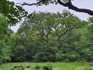 Maison de vacances Stege  20