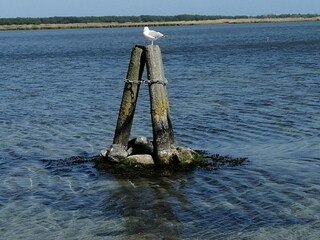 Casa per le vacanze Stege  33