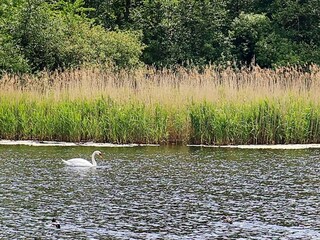 Ferienhaus Tranekær  29
