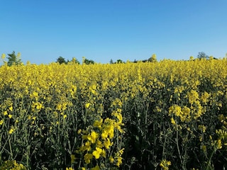 Ferienhaus Tranekær  17