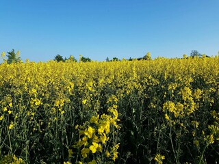 Maison de vacances Tranekær  17