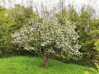 Vakantiehuis Tranekær  13