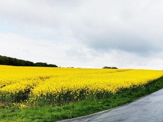 Vakantiehuis Tranekær  16