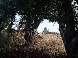 Ferienhaus Tranekær  18