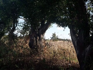 Vakantiehuis Tranekær  18