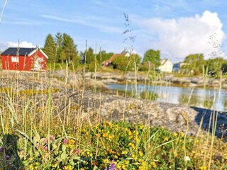 Ferienhaus Ospeskogen  12