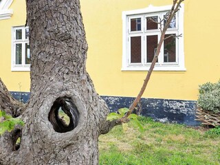 Ferienhaus Spodsbjerg  4