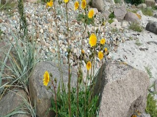 Casa de vacaciones Spodsbjerg Grabación al aire libre 19