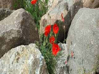 Casa per le vacanze Spodsbjerg Registrazione all'aperto 8