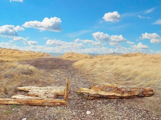 Maison de vacances Nørlev Strand  8