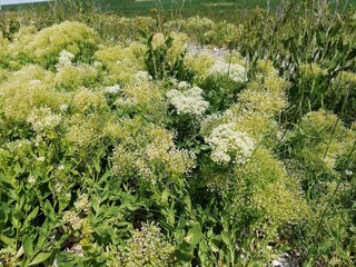 Holiday house Ærøskøbing  26
