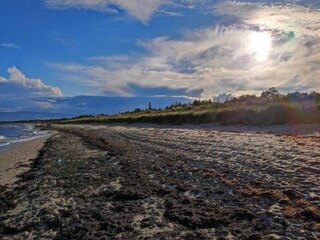 Casa de vacaciones Ebeltoft Grabación al aire libre 9
