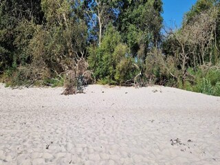 Ferienhaus Ebeltoft Außenaufnahme 4