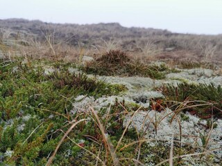 Appartement Søndervig  27