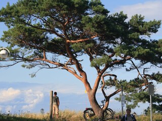 Strandzugang in 100 m