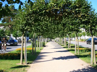 Strandstraße  ca 300m v. Objekt